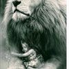 queenbella1220